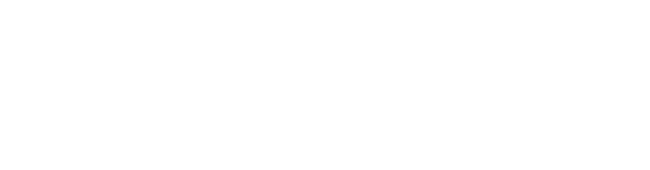 Personique On The Spot logo